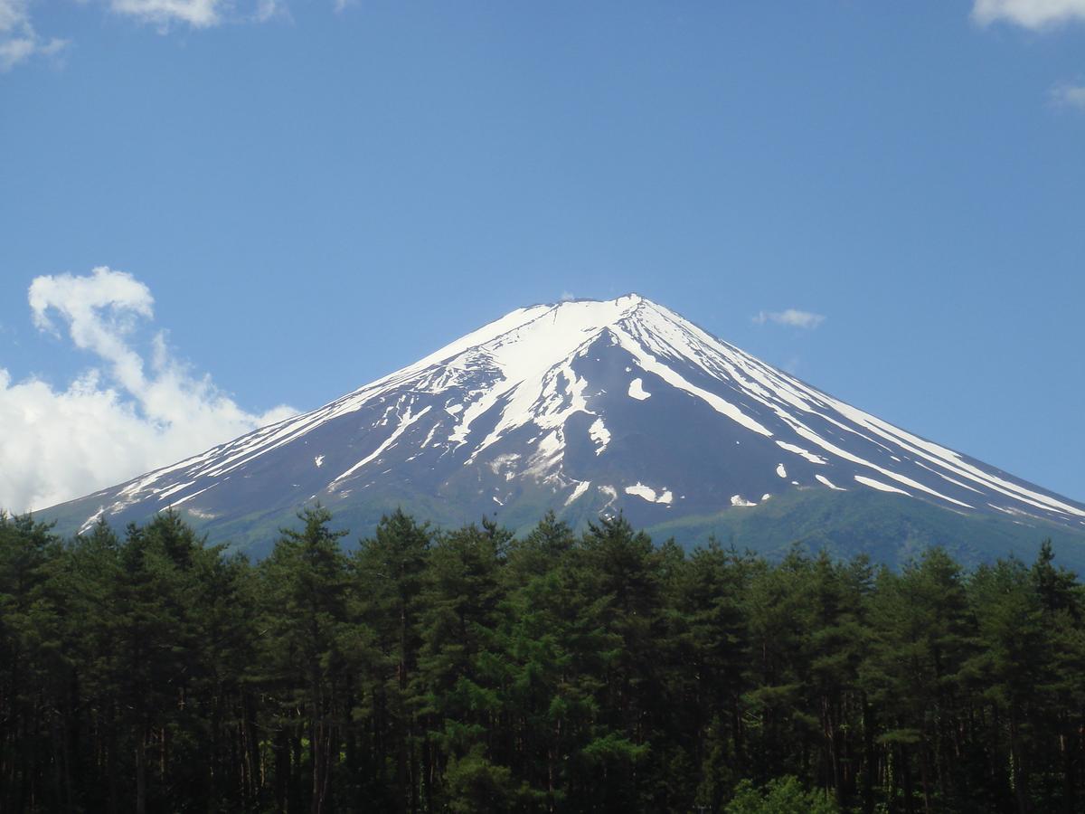 Evergreen Fuji